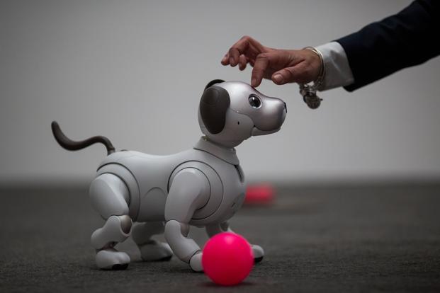 Aibo is primarily a toy, its artificial-intelligence capabilities and robotic architecture can be used to create machines for various service fields. Photo: AFP