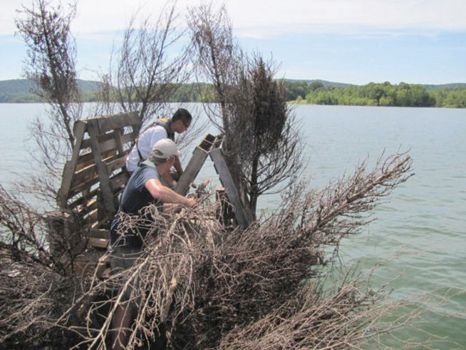 Image result for U.S. Fish and Wildlife holds annual “Christmas Tree Drop”