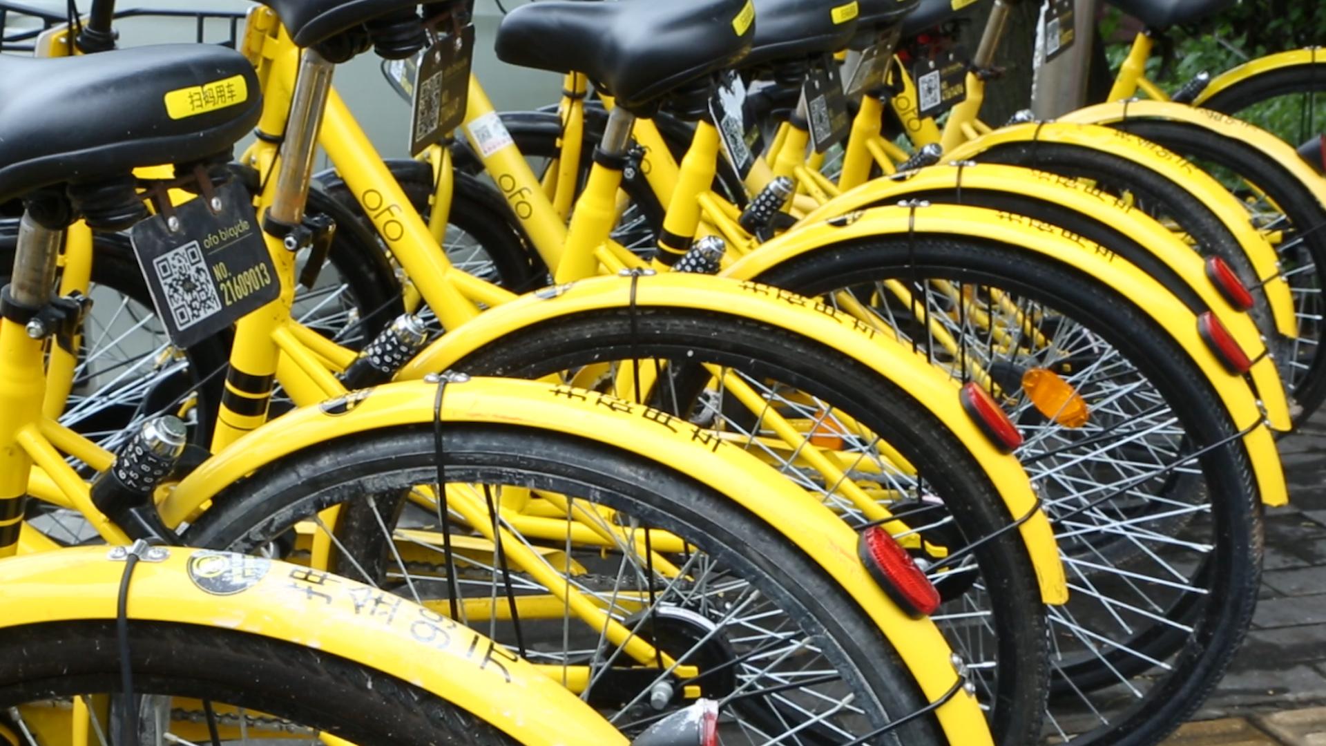 Ofo Bicycle Sharing