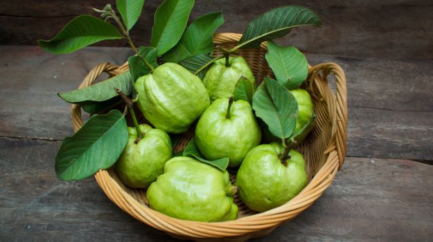 Guava Nutrition: Amazing Guava Nutrition Facts and Benefits You Must Know