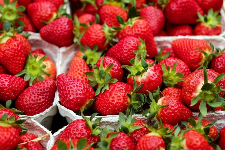 Image result for Strawberry