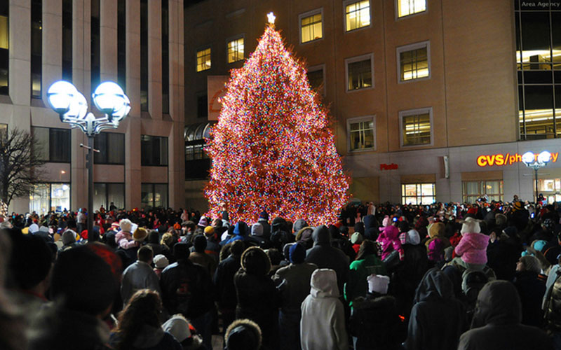 Image result for Dayton Christmas Tree