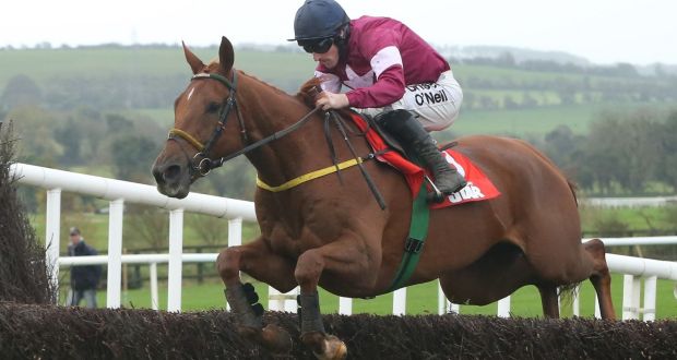 Road To Respect: can land a bumper prize of â¬225,000 in the Unibet Irish Gold Cup at Leopardstown. Photograph: Niall Carson/PA 