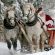 We Need a Little Christmas Now!